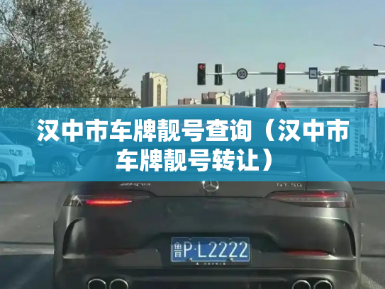 汉中市车牌靓号查询(汉中市车牌靓号转让)-第3张图片-七号汽车选号 汉中市车牌靓号查询(汉中市车牌靓号转让)-第3张图片-七号汽车选号