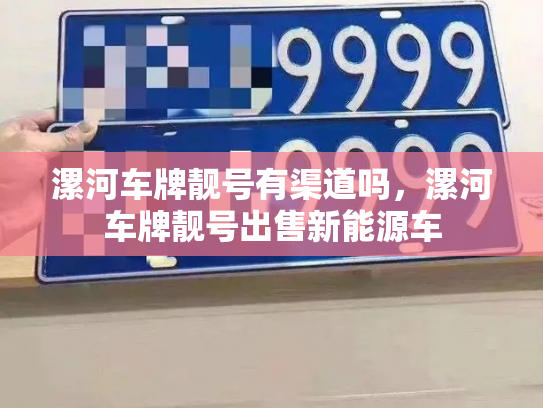 漯河车牌靓号有渠道吗，漯河车牌靓号出售新能源车-第2张图片-七号汽车选号