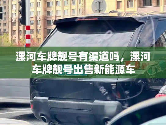 漯河车牌靓号有渠道吗，漯河车牌靓号出售新能源车-第3张图片-七号汽车选号