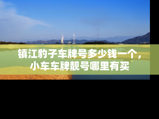 镇江豹子车牌号多少钱一个，小车车牌靓号哪里有买