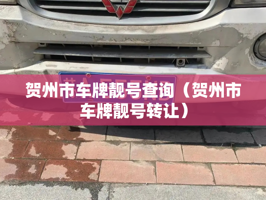 贺州市车牌靓号查询(贺州市车牌靓号转让)-第3张图片-七号汽车选号 贺州市车牌靓号查询(贺州市车牌靓号转让)-第3张图片-七号汽车选号