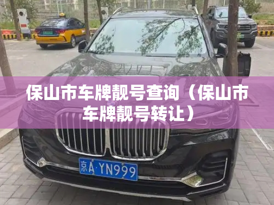 保山市车牌靓号查询(保山市车牌靓号转让)-第2张图片-七号汽车选号 保山市车牌靓号查询(保山市车牌靓号转让)-第2张图片-七号汽车选号