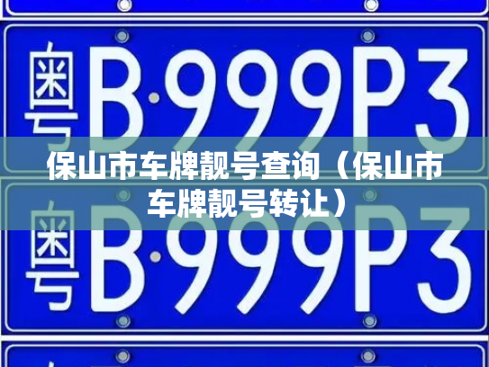 保山市车牌靓号查询(保山市车牌靓号转让)-第3张图片-七号汽车选号 保山市车牌靓号查询(保山市车牌靓号转让)-第3张图片-七号汽车选号