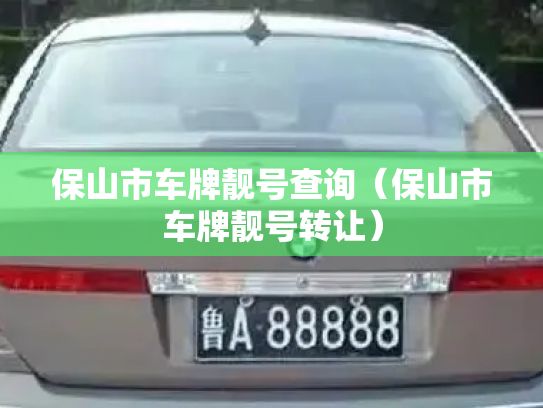 保山市车牌靓号查询（保山市车牌靓号转让）