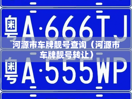 河源市车牌靓号查询(河源市车牌靓号转让)-第2张图片-七号汽车选号 河源市车牌靓号查询(河源市车牌靓号转让)-第2张图片-七号汽车选号