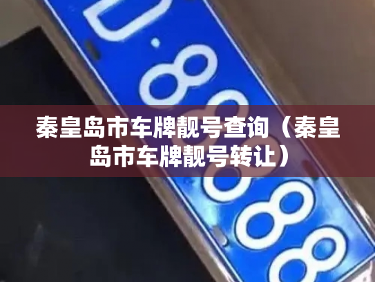 秦皇岛市车牌靓号查询(秦皇岛市车牌靓号转让)-第2张图片-七号汽车选号 秦皇岛市车牌靓号查询(秦皇岛市车牌靓号转让)-第2张图片-七号汽车选号