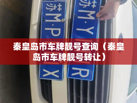 秦皇岛市车牌靓号查询（秦皇岛市车牌靓号转让）