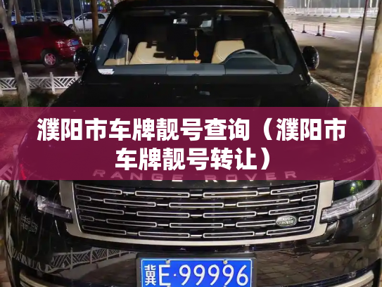 濮阳市车牌靓号查询（濮阳市车牌靓号转让）-第3张图片-七号汽车选号