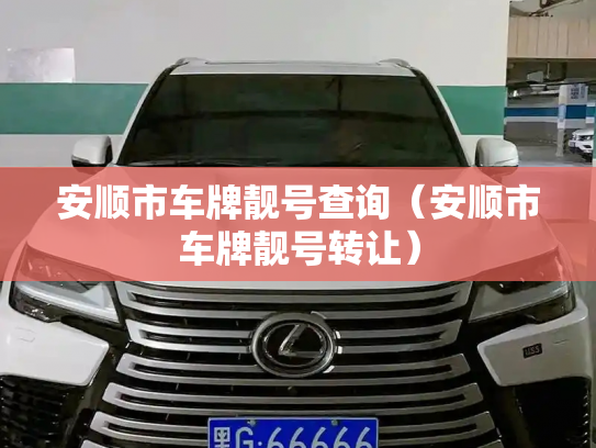安顺市车牌靓号查询(安顺市车牌靓号转让)-第2张图片-七号汽车选号 安顺市车牌靓号查询(安顺市车牌靓号转让)-第2张图片-七号汽车选号