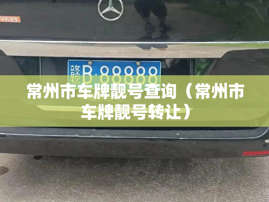 常州市车牌靓号查询(常州市车牌靓号转让)-第2张图片-七号汽车选号 常州市车牌靓号查询(常州市车牌靓号转让)-第2张图片-七号汽车选号
