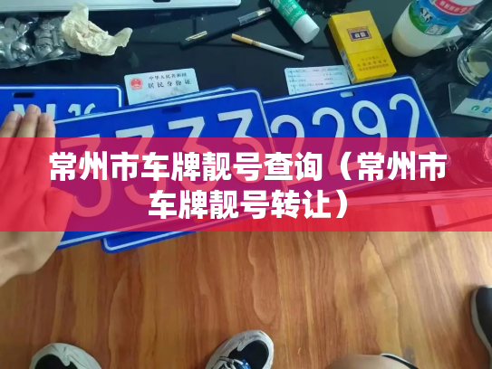 常州市车牌靓号查询(常州市车牌靓号转让)-第3张图片-七号汽车选号 常州市车牌靓号查询(常州市车牌靓号转让)-第3张图片-七号汽车选号