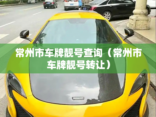 常州市车牌靓号查询（常州市车牌靓号转让）