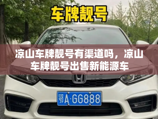 凉山车牌靓号有渠道吗,凉山车牌靓号出售新能源车-第2张图片-七号汽车选号 凉山车牌靓号有渠道吗,凉山车牌靓号出售新能源车-第2张图片-七号汽车选号