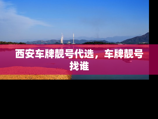 西安车牌靓号代选，车牌靓号找谁
