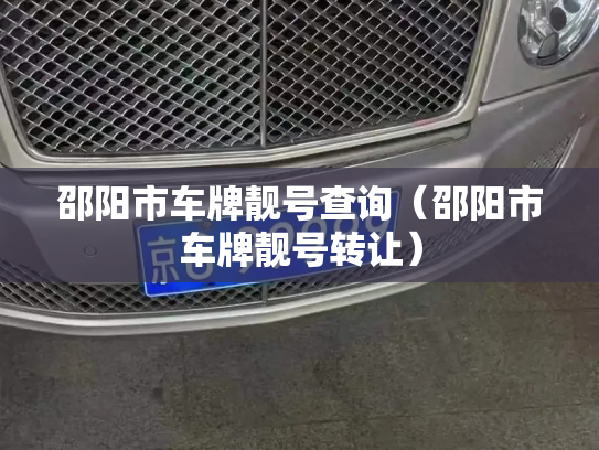 邵阳市车牌靓号查询(邵阳市车牌靓号转让)-第2张图片-七号汽车选号 邵阳市车牌靓号查询(邵阳市车牌靓号转让)-第2张图片-七号汽车选号