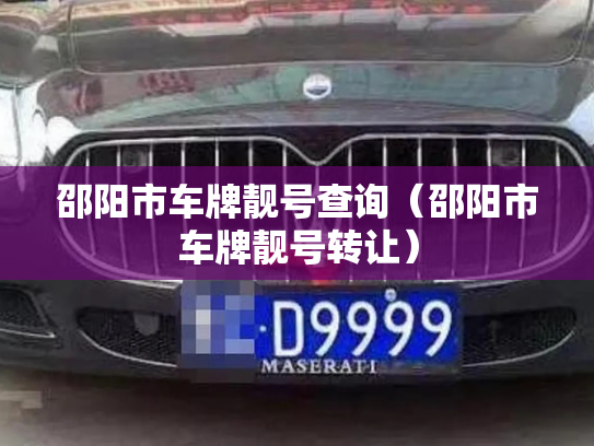 邵阳市车牌靓号查询(邵阳市车牌靓号转让)-第3张图片-七号汽车选号 邵阳市车牌靓号查询(邵阳市车牌靓号转让)-第3张图片-七号汽车选号