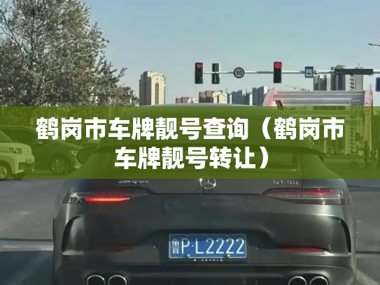 鹤岗市车牌靓号查询（鹤岗市车牌靓号转让）