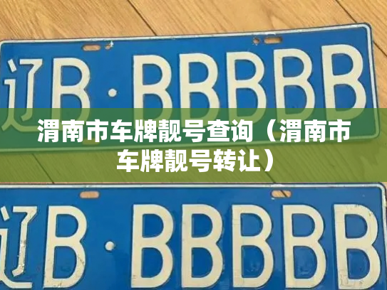 渭南市车牌靓号查询（渭南市车牌靓号转让）-第3张图片-七号汽车选号