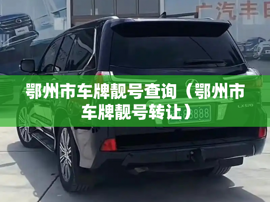 鄂州市车牌靓号查询(鄂州市车牌靓号转让)-第2张图片-七号汽车选号 鄂州市车牌靓号查询(鄂州市车牌靓号转让)-第2张图片-七号汽车选号