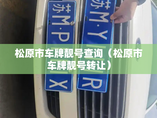 松原市车牌靓号查询(松原市车牌靓号转让)-第2张图片-七号汽车选号 松原市车牌靓号查询(松原市车牌靓号转让)-第2张图片-七号汽车选号