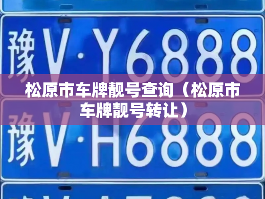 松原市车牌靓号查询（松原市车牌靓号转让）