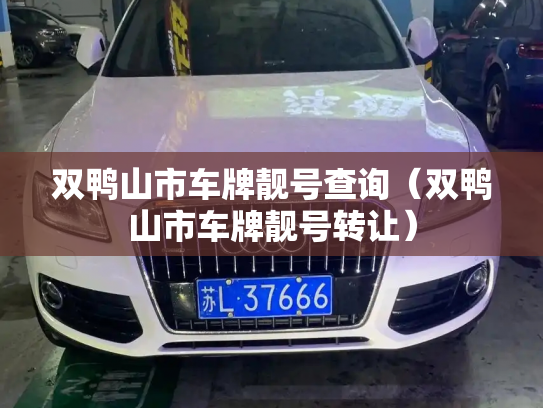 双鸭山市车牌靓号查询(双鸭山市车牌靓号转让)-第2张图片-七号汽车选号 双鸭山市车牌靓号查询(双鸭山市车牌靓号转让)-第2张图片-七号汽车选号