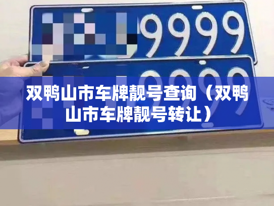 双鸭山市车牌靓号查询（双鸭山市车牌靓号转让）