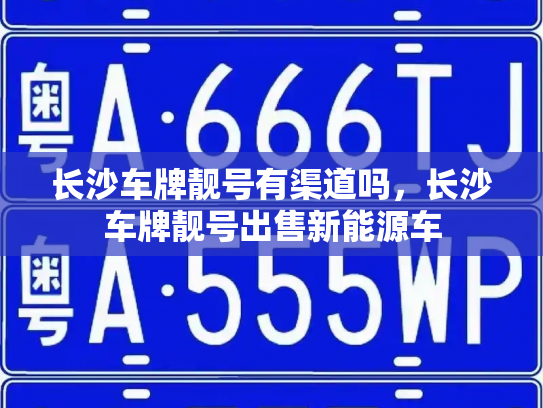 长沙车牌靓号有渠道吗，长沙车牌靓号出售新能源车-第2张图片-七号汽车选号