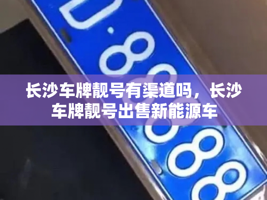 长沙车牌靓号有渠道吗，长沙车牌靓号出售新能源车-第3张图片-七号汽车选号