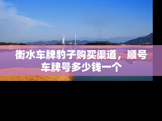 衡水车牌豹子购买渠道，顺号车牌号多少钱一个