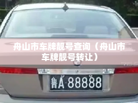 舟山市车牌靓号查询（舟山市车牌靓号转让）-第2张图片-七号汽车选号