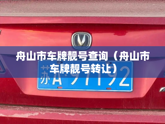舟山市车牌靓号查询（舟山市车牌靓号转让）-第3张图片-七号汽车选号