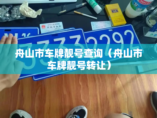 舟山市车牌靓号查询（舟山市车牌靓号转让）