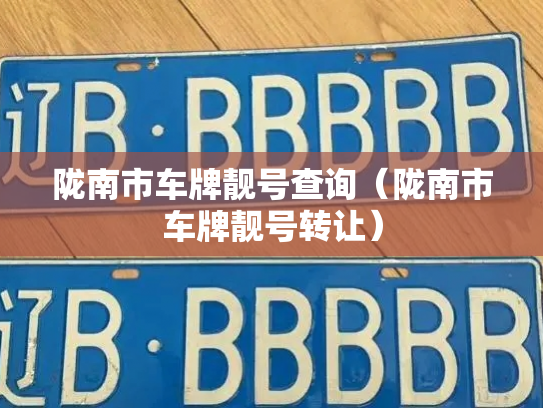 陇南市车牌靓号查询(陇南市车牌靓号转让)-第3张图片-七号汽车选号 陇南市车牌靓号查询(陇南市车牌靓号转让)-第3张图片-七号汽车选号