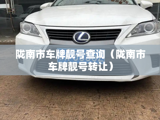 陇南市车牌靓号查询（陇南市车牌靓号转让）