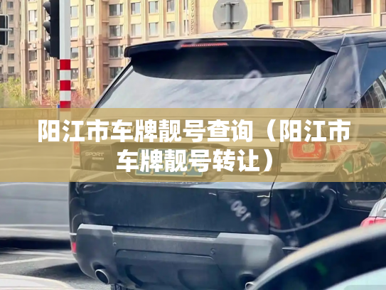 阳江市车牌靓号查询(阳江市车牌靓号转让)-第3张图片-七号汽车选号 阳江市车牌靓号查询(阳江市车牌靓号转让)-第3张图片-七号汽车选号