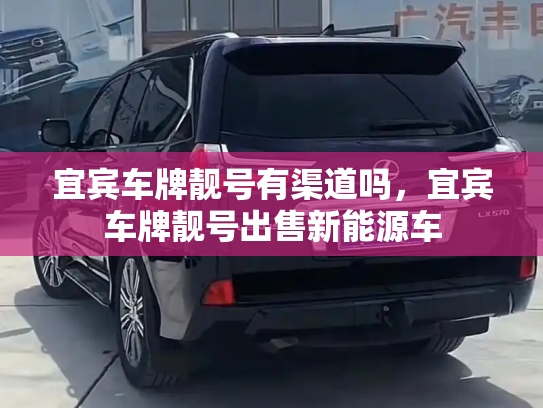 宜宾车牌靓号有渠道吗,宜宾车牌靓号出售新能源车-第3张图片-七号汽车选号 宜宾车牌靓号有渠道吗,宜宾车牌靓号出售新能源车-第3张图片-七号汽车选号