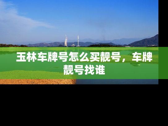 玉林车牌号怎么买靓号，车牌靓号找谁
