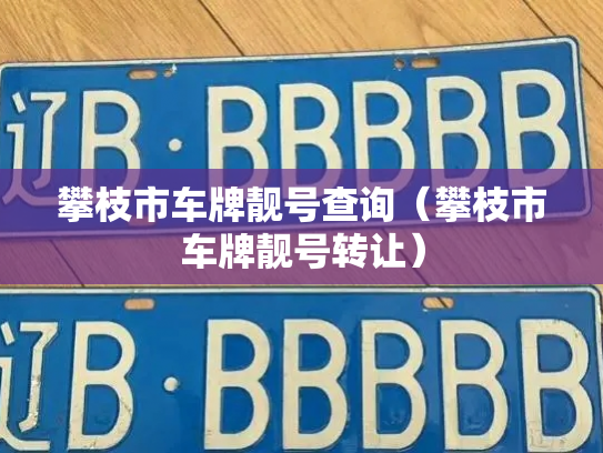 攀枝市车牌靓号查询(攀枝市车牌靓号转让)-第3张图片-七号汽车选号 攀枝市车牌靓号查询(攀枝市车牌靓号转让)-第3张图片-七号汽车选号