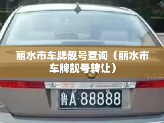 丽水市车牌靓号查询(丽水市车牌靓号转让)-第2张图片-七号汽车选号 丽水市车牌靓号查询(丽水市车牌靓号转让)-第2张图片-七号汽车选号