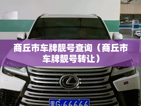 商丘市车牌靓号查询(商丘市车牌靓号转让)-第2张图片-七号汽车选号 商丘市车牌靓号查询(商丘市车牌靓号转让)-第2张图片-七号汽车选号