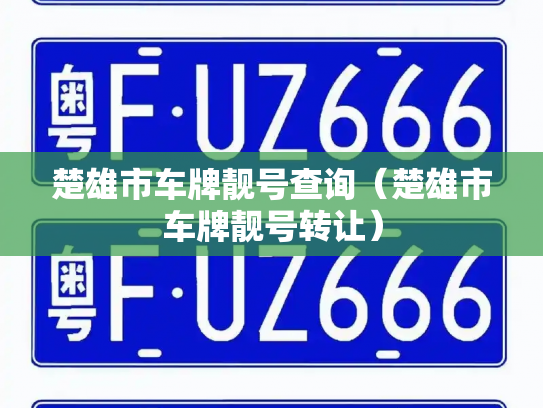 楚雄市车牌靓号查询(楚雄市车牌靓号转让)-第3张图片-七号汽车选号 楚雄市车牌靓号查询(楚雄市车牌靓号转让)-第3张图片-七号汽车选号