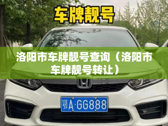 洛阳市车牌靓号查询（洛阳市车牌靓号转让）