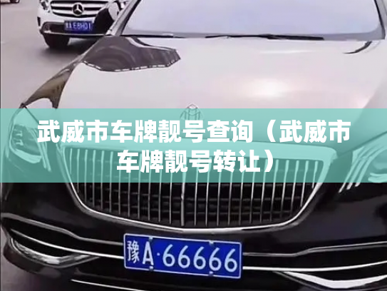 武威市车牌靓号查询(武威市车牌靓号转让)-第3张图片-七号汽车选号 武威市车牌靓号查询(武威市车牌靓号转让)-第3张图片-七号汽车选号