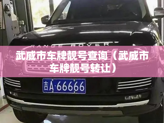 武威市车牌靓号查询（武威市车牌靓号转让）