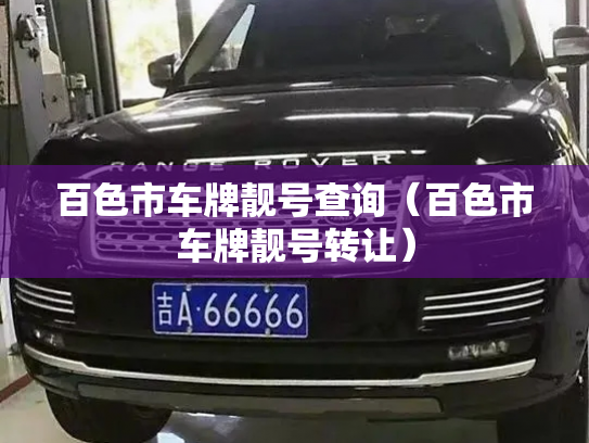 百色市车牌靓号查询（百色市车牌靓号转让）