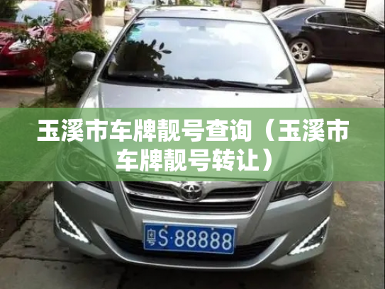 玉溪市车牌靓号查询(玉溪市车牌靓号转让)-第2张图片-七号汽车选号 玉溪市车牌靓号查询(玉溪市车牌靓号转让)-第2张图片-七号汽车选号