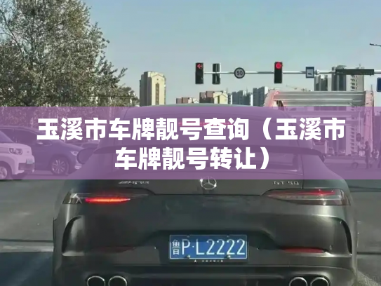 玉溪市车牌靓号查询(玉溪市车牌靓号转让)-第3张图片-七号汽车选号 玉溪市车牌靓号查询(玉溪市车牌靓号转让)-第3张图片-七号汽车选号