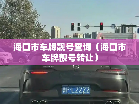 海口市车牌靓号查询（海口市车牌靓号转让）