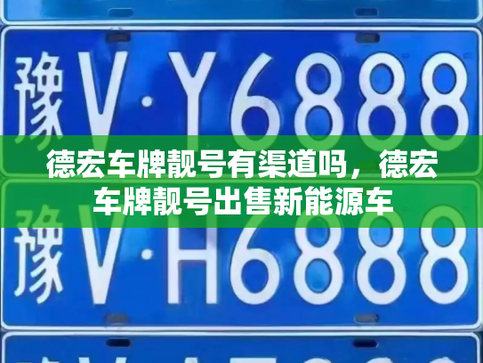 德宏车牌靓号有渠道吗，德宏车牌靓号出售新能源车-第2张图片-七号汽车选号